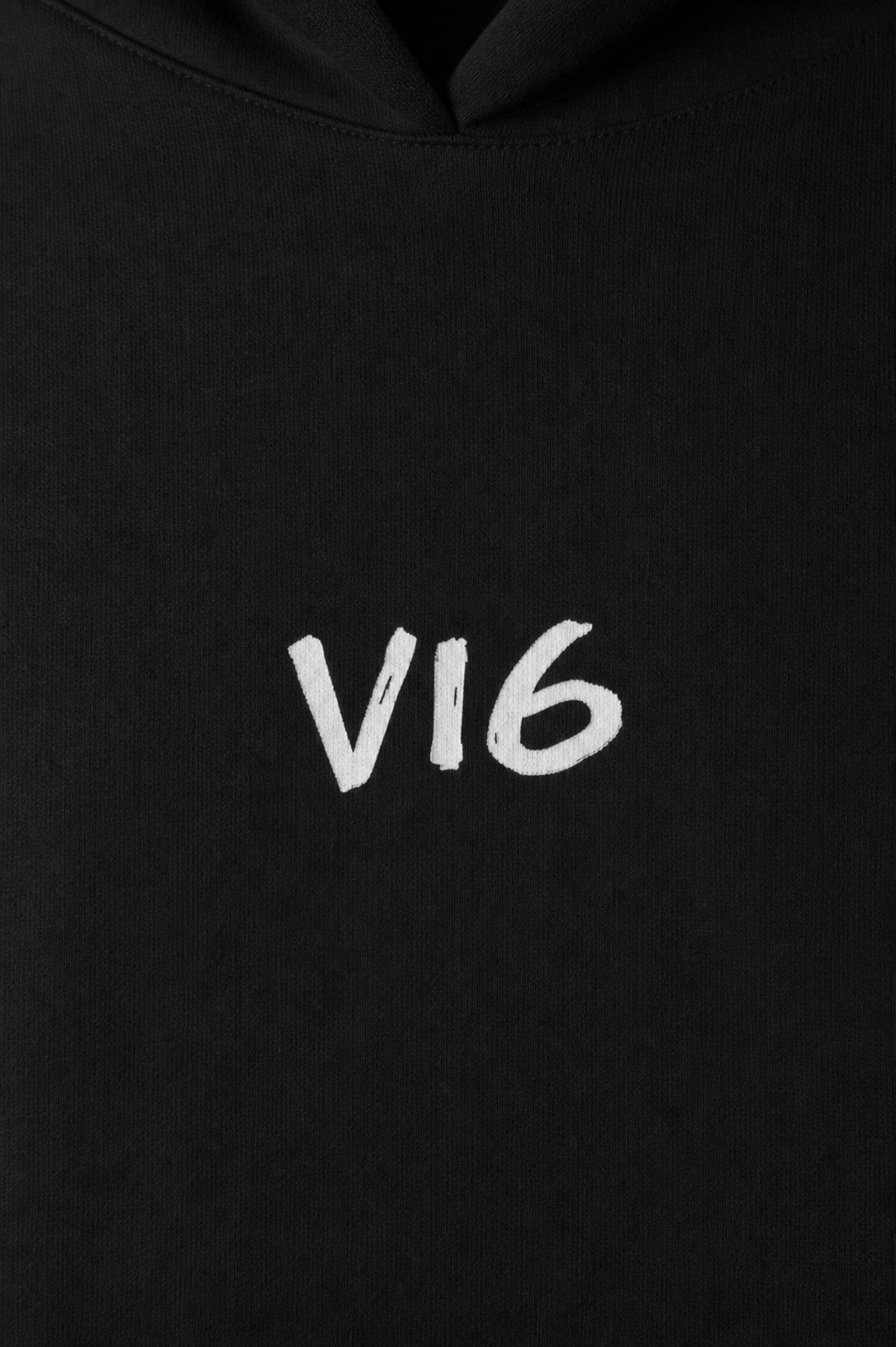 VI6 BIRTH  HOODIE